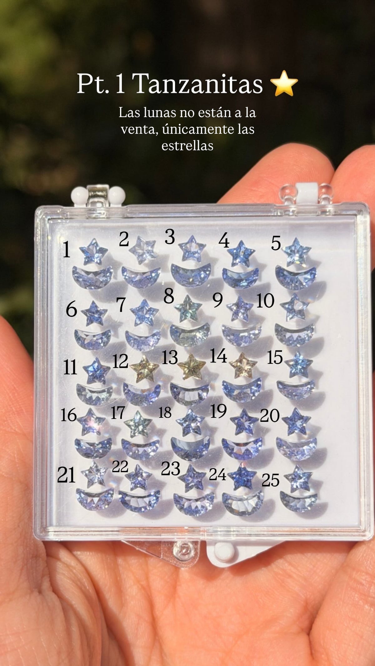 Aretes Mariposa (estrella de Tanzanita)