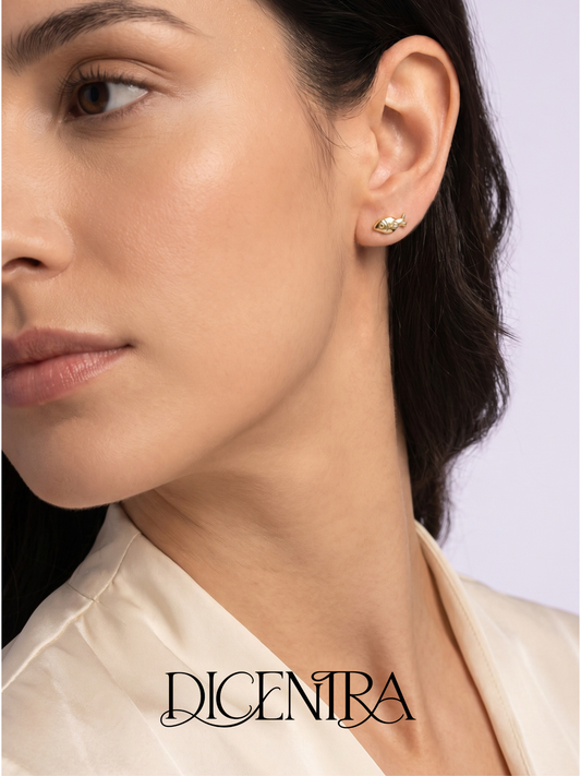 Aretes Gupi