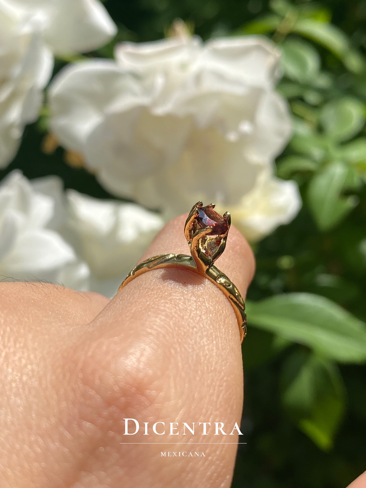 Anillo Decisi n Granate Dicentra Mexicana